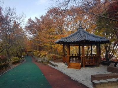 성북근린 공원.jpg