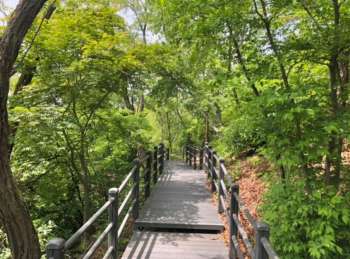 성북근린공원.png